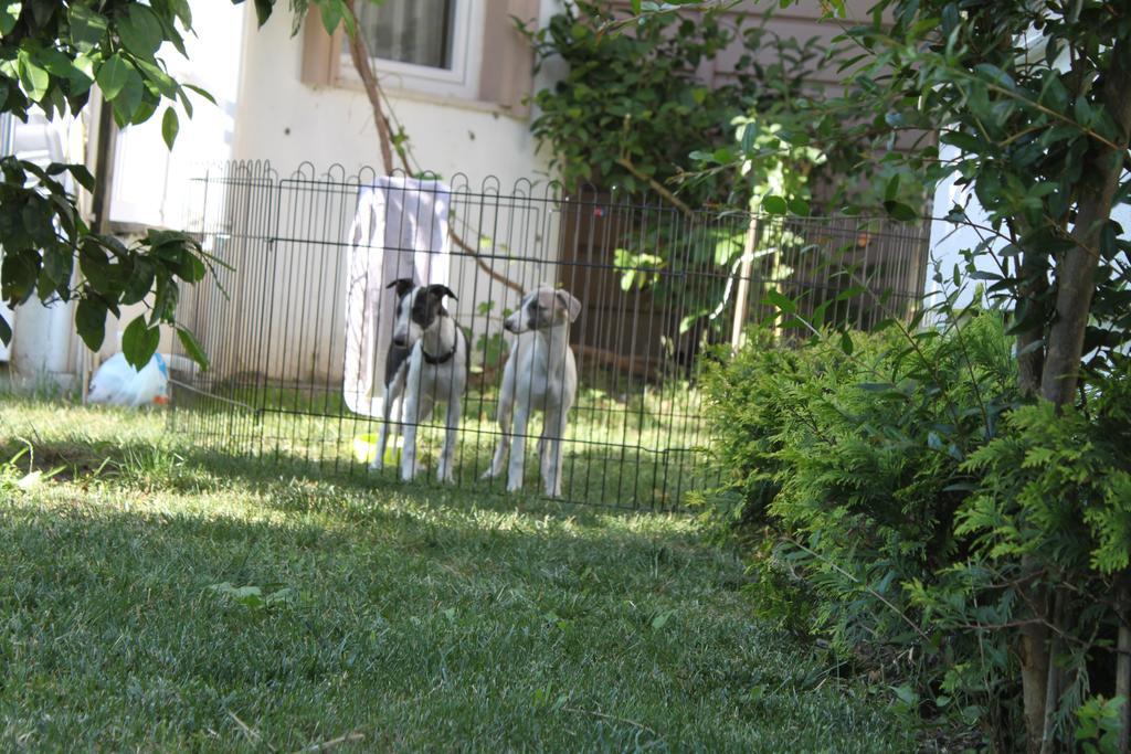 Aloria Garden Hotel Erdek Exterior photo